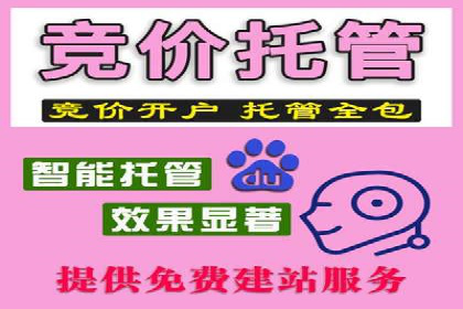 百度搜索推广案例集锦：实战技巧分享